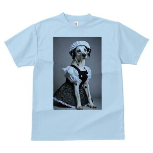 _VA TVc  j[NfUCfB[X t@  t vg lJWA 킢 lԗp Mtg I ҏ΍ Ch _VA ʖ͗l RX`[