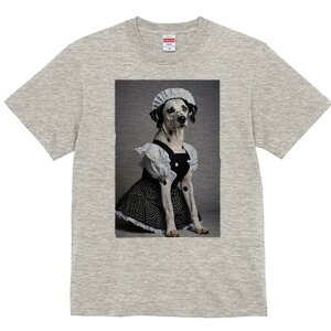 _VA TVc  j[NfUCfB[X t@  t vg lJWA 킢 lԗp Mtg I ҏ΍ Ch _VA ʖ͗l RX`[