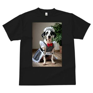 _VA TVc  j[NfUCfB[X t@  t vg lJWA 킢 lԗp Mtg I ҏ΍ Ch _VA {