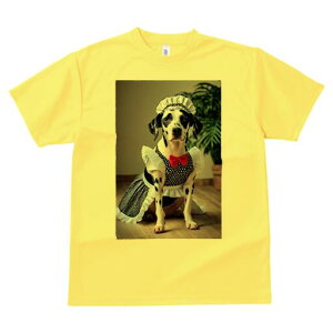 _VA TVc  j[NfUCfB[X t@  t vg lJWA 킢 lԗp Mtg I ҏ΍ Ch _VA {