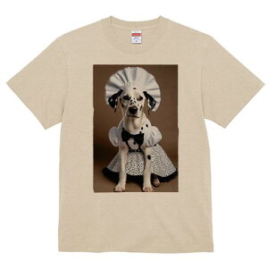 _VA TVc  j[NfUCfB[X t@  t vg lJWA 킢 lԗp Mtg I ҏ΍ Ch _VA Xq 