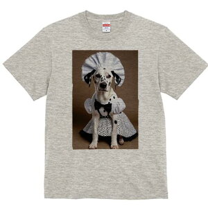 _VA TVc  j[NfUCfB[X t@  t vg lJWA 킢 lԗp Mtg I ҏ΍ Ch _VA Xq 