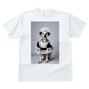 _VA TVc  j[NfUCfB[X t@  t vg lJWA 킢 lԗp Mtg I ҏ΍ Ch _VA RX`[ nE