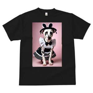 _VA TVc  j[NfUCfB[X t@  t vg lJWA 킢 lԗp Mtg I ҏ΍ Ch _VA oj[K[