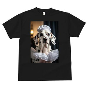 _VA TVc  j[NfUCfB[X t@  t vg lJWA 킢 lԗp Mtg I ҏ΍ t _VA Xq