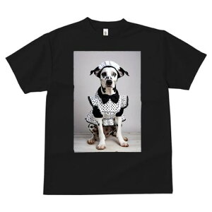 _VA TVc  j[NfUCfB[X t@  t vg lJWA 킢 lԗp Mtg I ҏ΍ Ch _VA ʖ͗l {