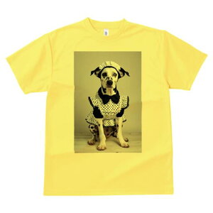 _VA TVc  j[NfUCfB[X t@  t vg lJWA 킢 lԗp Mtg I ҏ΍ Ch _VA ʖ͗l {