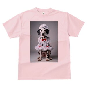 _VA TVc  j[NfUCfB[X t@  t vg lJWA 킢 lԗp Mtg I ҏ΍ Ch _VA {