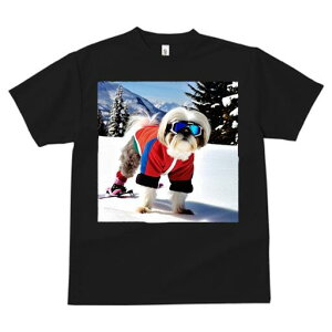 V[Y[ TVc  j[NfUCfB[X t@  t vg lJWA 킢 lԗp Mtg I ҏ΍ XL[ V[Y[ R ~ XL[EFA