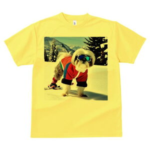 V[Y[ TVc  j[NfUCfB[X t@  t vg lJWA 킢 lԗp Mtg I ҏ΍ XL[ V[Y[ R ~ XL[EFA