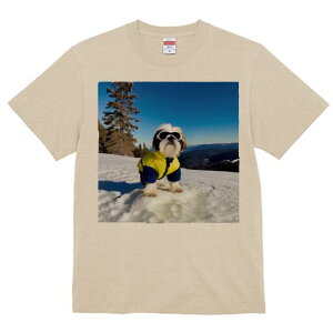 シーズー Tシャツ 犬愛 ユニークデザインレディース 犬ファン 半袖 春夏 プリント 大人カジュアル かわいい 人間用 ギフト 個性的 猛暑対策 雪山 シーズー スキーウェア ゴーグル 冬