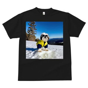 V[Y[ TVc  j[NfUCfB[X t@  t vg lJWA 킢 lԗp Mtg I ҏ΍ R V[Y[ XL[EFA S[O ~