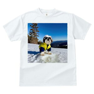 V[Y[ TVc  j[NfUCfB[X t@  t vg lJWA 킢 lԗp Mtg I ҏ΍ R V[Y[ XL[EFA S[O ~