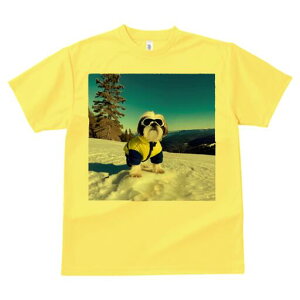 �V�[�Y�[ T�V���c ���� ���j�[�N�f�U�C�����f�B�[�X ���t�@�� ���� �t�� �v�����g ��l�J�W���A�� ���킢�� �l�ԗp �M�t�g ���I �ҏ��΍� ��R �V�[�Y�[ �X�L�[�E�F�A �S�[�O�� �~