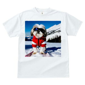 V[Y[ TVc  j[NfUCfB[X t@  t vg lJWA 킢 lԗp Mtg I ҏ΍ XL[ V[Y[ R Xm[{[h XL[EFA