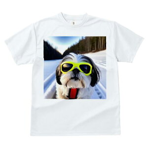 V[Y[ TVc  j[NfUCfB[X t@  t vg lJWA 킢 lԗp Mtg I ҏ΍ TOX V[Y[  ~ XL[