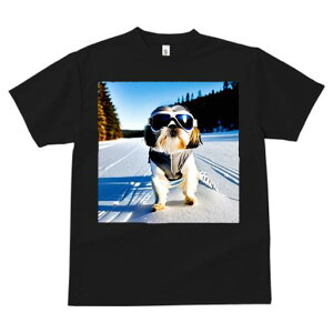 V[Y[ TVc  j[NfUCfB[X t@  t vg lJWA 킢 lԗp Mtg I ҏ΍  V[Y[ ~ XL[ XL[EFA