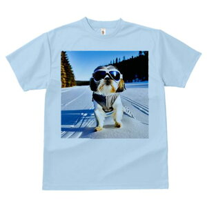 V[Y[ TVc  j[NfUCY LbY t@  t vg lJWA 킢 lԗp Mtg I ҏ΍  V[Y[ ~ XL[ XL[EFA