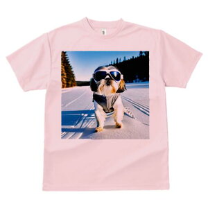 V[Y[ TVc  j[NfUCfB[X t@  t vg lJWA 킢 lԗp Mtg I ҏ΍  V[Y[ ~ XL[ XL[EFA