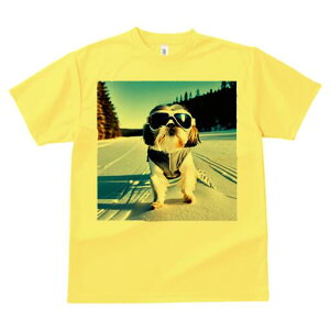 V[Y[ TVc  j[NfUCfB[X t@  t vg lJWA 킢 lԗp Mtg I ҏ΍  V[Y[ ~ XL[ XL[EFA