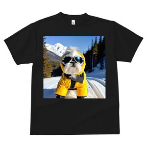 V[Y[ TVc  j[NfUCfB[X t@  t vg lJWA 킢 lԗp Mtg I ҏ΍ R V[Y[ XL[EFA S[O ~