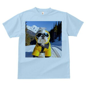 V[Y[ TVc  j[NfUCfB[X t@  t vg lJWA 킢 lԗp Mtg I ҏ΍ R V[Y[ XL[EFA S[O ~