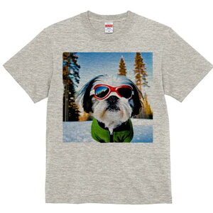 V[Y[ TVc  j[NfUCfB[X t@  t vg lJWA 킢 lԗp Mtg I ҏ΍  V[Y[ ~ XL[ TOX