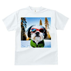 V[Y[ TVc  j[NfUCfB[X t@  t vg lJWA 킢 lԗp Mtg I ҏ΍  V[Y[ ~ XL[ TOX