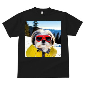 V[Y[ TVc  j[NfUCfB[X t@  t vg lJWA 킢 lԗp Mtg I ҏ΍ XL[ V[Y[ ~ R XL[EFA