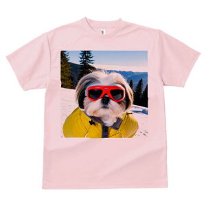 V[Y[ TVc  j[NfUCfB[X t@  t vg lJWA 킢 lԗp Mtg I ҏ΍ XL[ V[Y[ ~ R XL[EFA