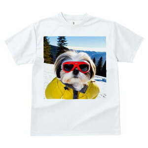 �V�[�Y�[ T�V���c ���� ���j�[�N�f�U�C�����f�B�[�X ���t�@�� ���� �t�� �v�����g ��l�J�W���A�� ���킢�� �l�ԗp �M�t�g ���I �ҏ��΍� �X�L�[ �V�[�Y�[ �~ ��R �X�L�[�E�F�A