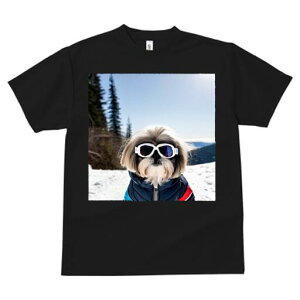 V[Y[ TVc  j[NfUCfB[X t@  t vg lJWA 킢 lԗp Mtg I ҏ΍  V[Y[ ~ XL[EFA S[O