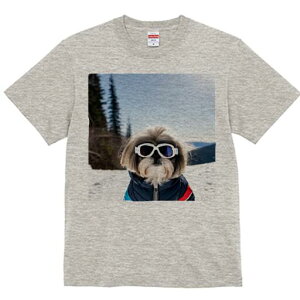 V[Y[ TVc  j[NfUCfB[X t@  t vg lJWA 킢 lԗp Mtg I ҏ΍  V[Y[ ~ XL[EFA S[O