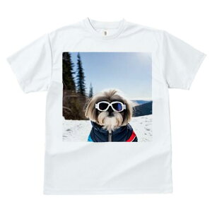 V[Y[ TVc  j[NfUCY LbY t@  t vg lJWA 킢 lԗp Mtg I ҏ΍  V[Y[ ~ XL[EFA S[O