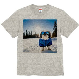 V[Y[ TVc  j[NfUCfB[X t@  t vg lJWA 킢 lԗp Mtg I ҏ΍ XL[EFA V[Y[  ~ XL[S[O