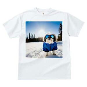 V[Y[ TVc  j[NfUCfB[X t@  t vg lJWA 킢 lԗp Mtg I ҏ΍ XL[EFA V[Y[  ~ XL[S[O