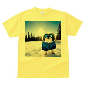 V[Y[ TVc  j[NfUCfB[X t@  t vg lJWA 킢 lԗp Mtg I ҏ΍ XL[EFA V[Y[  ~ XL[S[O