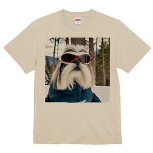 V[Y[ TVc  j[NfUCfB[X t@  t vg lJWA 킢 lԗp Mtg I ҏ΍ XL[ V[Y[ XL[EFA 