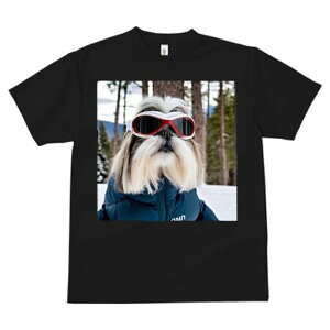 V[Y[ TVc  j[NfUCfB[X t@  t vg lJWA 킢 lԗp Mtg I ҏ΍ XL[ V[Y[ XL[EFA 