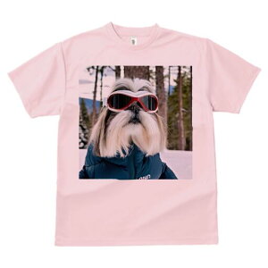 V[Y[ TVc  j[NfUCfB[X t@  t vg lJWA 킢 lԗp Mtg I ҏ΍ XL[ V[Y[ XL[EFA 