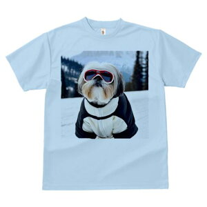 V[Y[ TVc  j[NfUCfB[X t@  t vg lJWA 킢 lԗp Mtg I ҏ΍ XL[ V[Y[ R XL[EFA