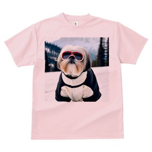 V[Y[ TVc  j[NfUCfB[X t@  t vg lJWA 킢 lԗp Mtg I ҏ΍ XL[ V[Y[ R XL[EFA