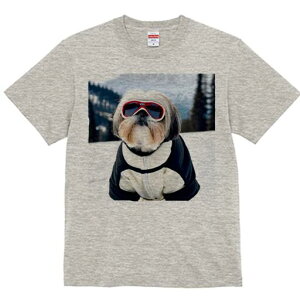 V[Y[ TVc  j[NfUCfB[X t@  t vg lJWA 킢 lԗp Mtg I ҏ΍ XL[ V[Y[ R XL[EFA