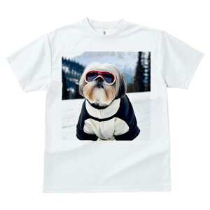 V[Y[ TVc  j[NfUCY LbY t@  t vg lJWA 킢 lԗp Mtg I ҏ΍ XL[ V[Y[ R XL[EFA