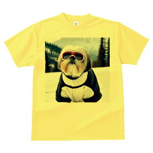 V[Y[ TVc  j[NfUCfB[X t@  t vg lJWA 킢 lԗp Mtg I ҏ΍ XL[ V[Y[ R XL[EFA