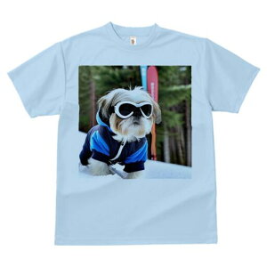 V[Y[ TVc  j[NfUCfB[X t@  t vg lJWA 킢 lԗp Mtg I ҏ΍ XL[ V[Y[  ~ Xm[EFA