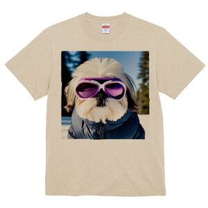 V[Y[ TVc  j[NfUCfB[X t@  t vg lJWA 킢 lԗp Mtg I ҏ΍ XL[EFA V[Y[ XL[S[O 