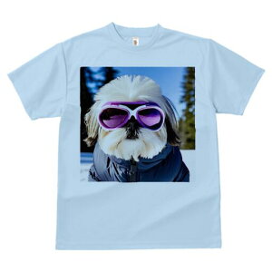 V[Y[ TVc  j[NfUCfB[X t@  t vg lJWA 킢 lԗp Mtg I ҏ΍ XL[EFA V[Y[ XL[S[O 