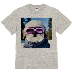 V[Y[ TVc  j[NfUCfB[X t@  t vg lJWA 킢 lԗp Mtg I ҏ΍ XL[EFA V[Y[ XL[S[O 