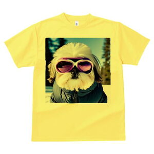 V[Y[ TVc  j[NfUCY LbY t@  t vg lJWA 킢 lԗp Mtg I ҏ΍ XL[EFA V[Y[ XL[S[O 